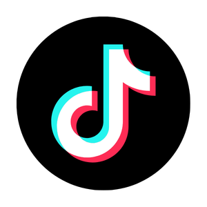 TikTok icon